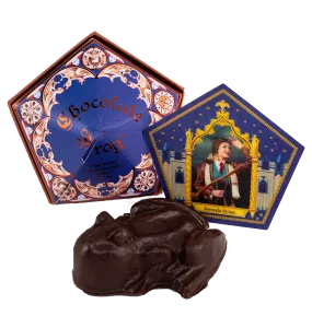 Dark Chocolate Frog - with authentic film packaging